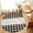 Black, variant on Area Rugs 4'x6'. Retro Blue Carpet Runner Indoor Outdoor Rugs Home Decor Aesthetic, Farmhouse Buffalo Plaid Vintage Beige Non Slip Mats Washable Accent Rug for Living Room Bedroom