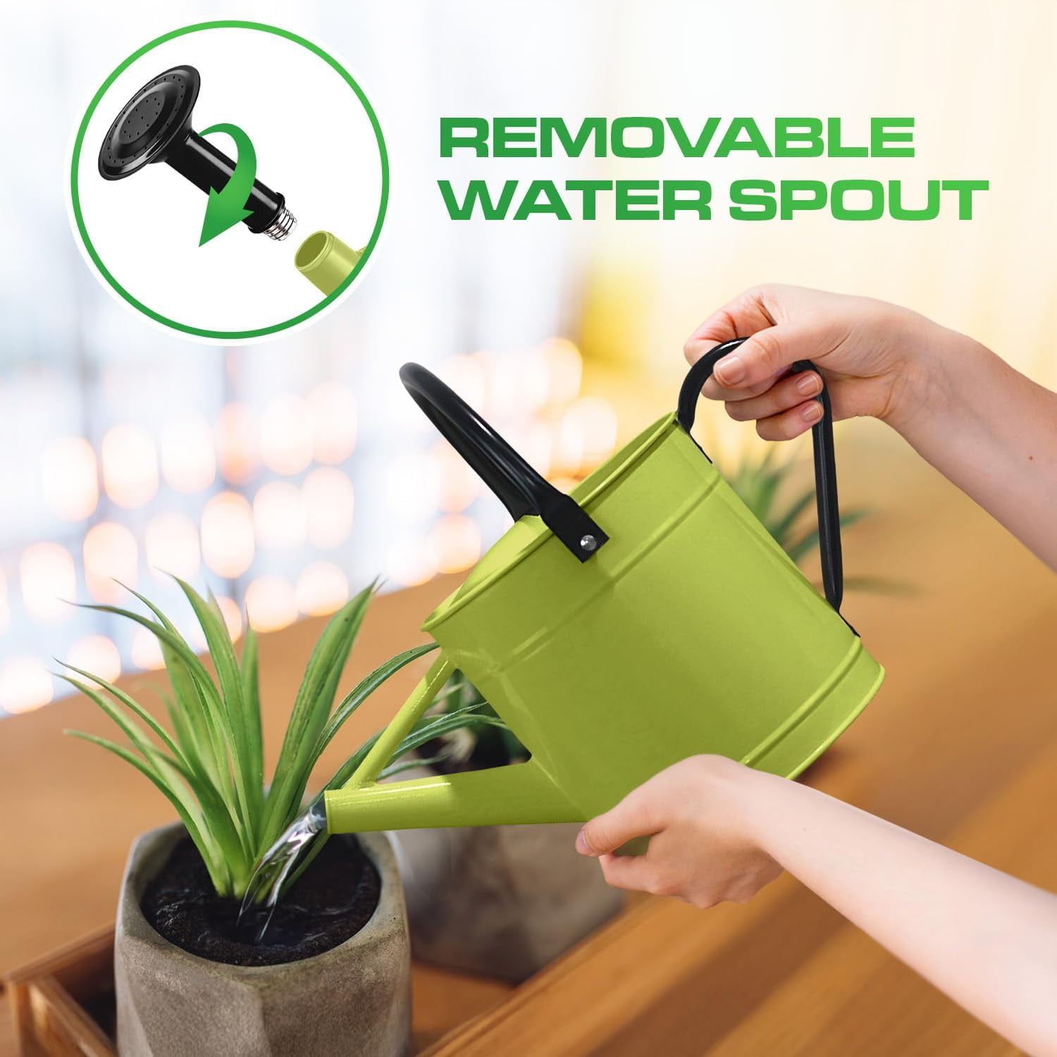 Plexon 1 Gallon Metal Watering Can Outdoor, Flower Plant Gardening Garden Large Green Watering Can Pot, Galvanized Steel Handles - Removable Spray Spout, Green