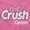 Light Pink, variant on Crush Breast Cancer Awarness Ribbon Women's Plus Size Graphic Tee Brisco Brands 2X