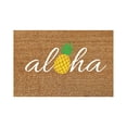 thumbnail image 1 of Binwennn Couvertures avec Pompons Tapis de Porte Imprimé Ananas Tapis de Porte pour Entrée Porte d'Entrée Extérieure Tapis de Porche avec Tapis de Sol en Polyester, 1 of 3