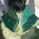 thumbnail image 5 of Rastrillo para Hojas, 2 Piezas de Mano para Jardín, Recogedor de Hojas y Césped., 5 of 5