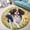 Cavalier King Charles Spaniel, variant on Round Area Rug, Mountain27 Non-Slip Floor Mat, Soft Washable Carpet for Living Room Bedroom Decor 24 Inch
