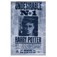 thumbnail image 1 of The Wizarding World: Harry Potter - Undesirable Wall Poster, 22.375" x 34", 1 of 4