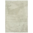 thumbnail image 1 of Mainstays Rabbit Faux Fur Sage Area Rug 5x7, Recommended for Living room, Dining Area, Bedroom, 1 of 8