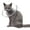 L, variant on Large Dog Recovery Collar Multiple Size Clear Cone Cats Head Leg Wound Recovery Cone Drawstring Type