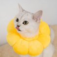 thumbnail image 4 of JM Girasoles elizabeth ring gato perro aseo anti-mordedura cuello protección vergüenza collar productos para mascotas JM JM, 4 of 5