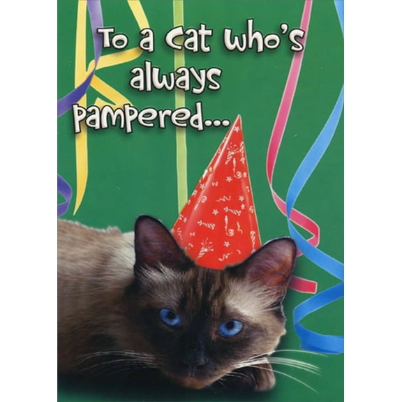 Designer Greetings Always Pampered Funny Birthday Card for Cat