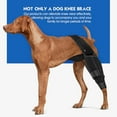 thumbnail image 6 of Dog Sleeve for Hind Legs to Stop Licking, Upgraded Surgical Recovery Sleeve for Hind and Rear Leg Wounds, TPLO, ACL Surgery, Lightweight Cone Alternative, 6 of 7
