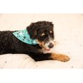 thumbnail image 5 of LazyOne Dog Bandana, Reversible Cotton Bandanas for All Dog Sizes (Fur Baby, Large), 5 of 7