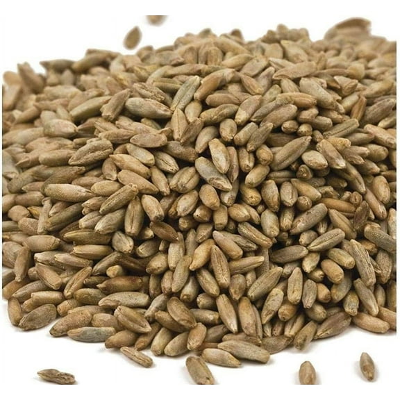 CZ Grain Winter Rye Cover Crop Grass Plant Seeds