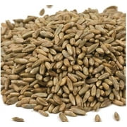 CZ Grain 10lb High Germination Rate Ryegrass Plant Seeds