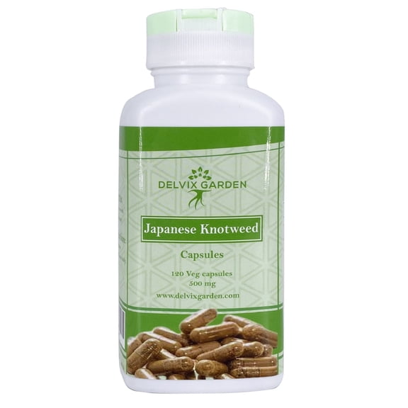 Japanese Knotweed Supplement – Potent Knotweed Extract Supplement, 500mg/capsule, 120 Capsules,