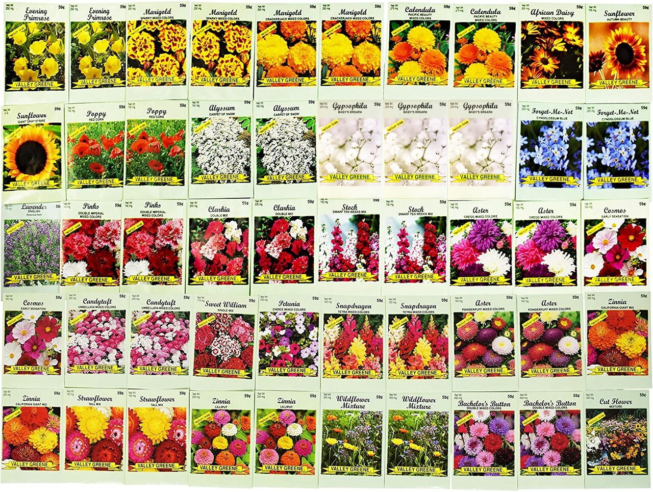 Set of 1000 Assorted Valley Green Flower Seed Packets! Flower Seeds in Bulk - 29+ Varieties Available!