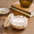 thumbnail image 7 of Pumpkin Snickerdoodle Swirl Scented 2 Wick Confetti Figural Pumpkin Jar Candle, Aromatherapy Glass Pumpkin Candle Perfect for Autumn Parties and Daily Use, 7 of 7