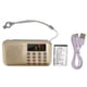 thumbnail image 1 of Radio numérique, mini radio portable, caisson de basses, lecteur MP3, haut-parleur de basses pour seniors, doré, 1 of 4