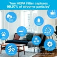 thumbnail image 3 of 3M Filtrete F1 Room Air Purifier Filter, True HEPA Premium Allergen, Bacteria, & Virus, 12 in. x 6.75 in., 2-Pack, Works with Devices: FAP-C01BA-G1, FAP-T02WA-G1 and FAP-ST02N, 3 of 5