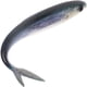 thumbnail image 1 of Señuelo artificial de hundimiento vívido, señuelo de pez realista, herramienta de pesca para agua dulce y salada, 1 of 7