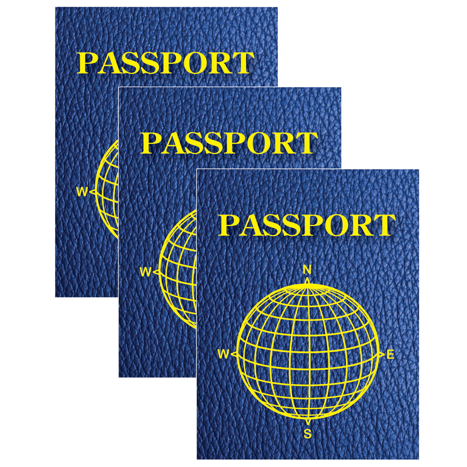 Blank Passports Pack Of 12 