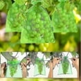 thumbnail image 5 of 50pcs Bunch Protection Bag 30x20cm, Grape Fruit Organza Bag With Drawstring, 5 of 5