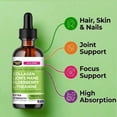 thumbnail image 4 of Liquid Collagen Peptides w/ Lions Mane Mushroom, Elderberry & L-Theanine – High Potency/Absorption Formula. Hair, Skin, Nail + Joint Support. Fight Brain Fog & Boost Immunity – Collagen Mojo - 2 oz., 4 of 9