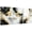 NO.0197, variant on Hieng 3 Piece Black White and Gold Wall Art Abstract Canvas Pictures Modern Artwork Painting Print for Living Room Decor Unframed