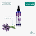 thumbnail image 4 of Aceite de MASAJE SENSUAL ARBORA con Lavanda relajante e hidratante, 4 of 6