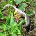 thumbnail image 3 of Emulational Bird Animal Toy Decoración - 9 Gaviota Macarena Ornamento micro paisaje, 3 of 7
