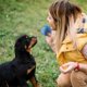 thumbnail image 2 of Interactive Dog Toy Ball - Electric Interactive Dog Toy - Chew Toys Rechargeable, 2 of 5