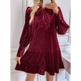 thumbnail image 6 of Female Loose Fit Bow-Tie Neck Long Sleeve Velvet Mini Babydoll Dresses Shift Dress Wine Red M, 6 of 10