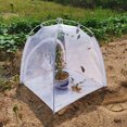 thumbnail image 4 of Insect Cage Filet d'Habitat Éducatif en PVC Respirant et Pliable pour la Maison, 4 of 7