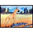 thumbnail image 1 of Carolines Treasures 7504MAT Tapis d'Extérieur Intérieur 18 x 27 Po, 1 of 4