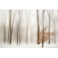 thumbnail image 2 of Tinak, Igor 24x17 White Modern Wood Framed Museum Art Print Titled - Winter, 2 of 4
