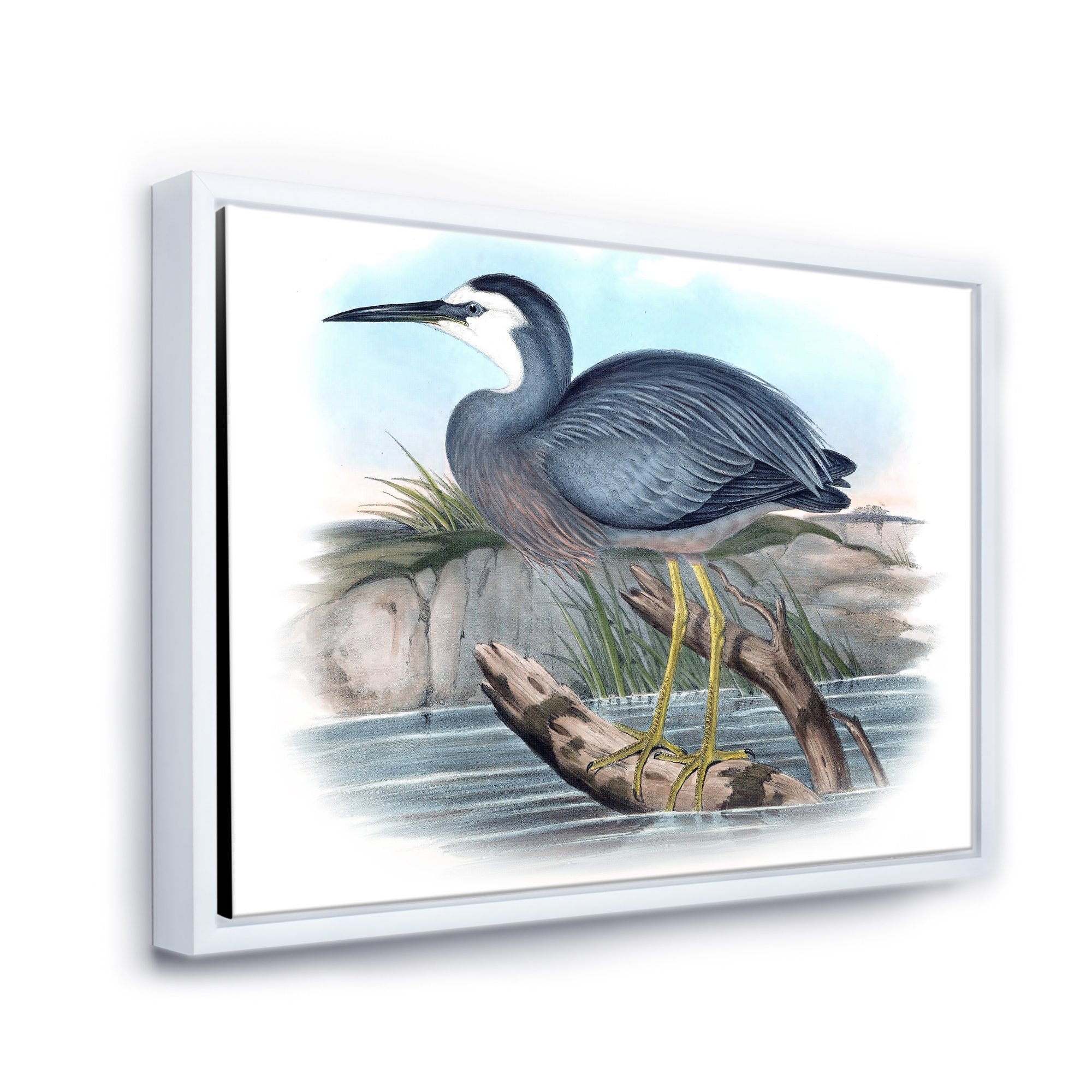 Designart 'Ancient Australian Birds II' Traditional Framed Canvas Wall Art Print