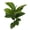 5, variant on 15-Leaf Single-Pole Dragonfly Tree Rubber Tree Qin Leaf Banyan Tree Printing Tape Simulation Green Plant Potted Decoration Ornaments