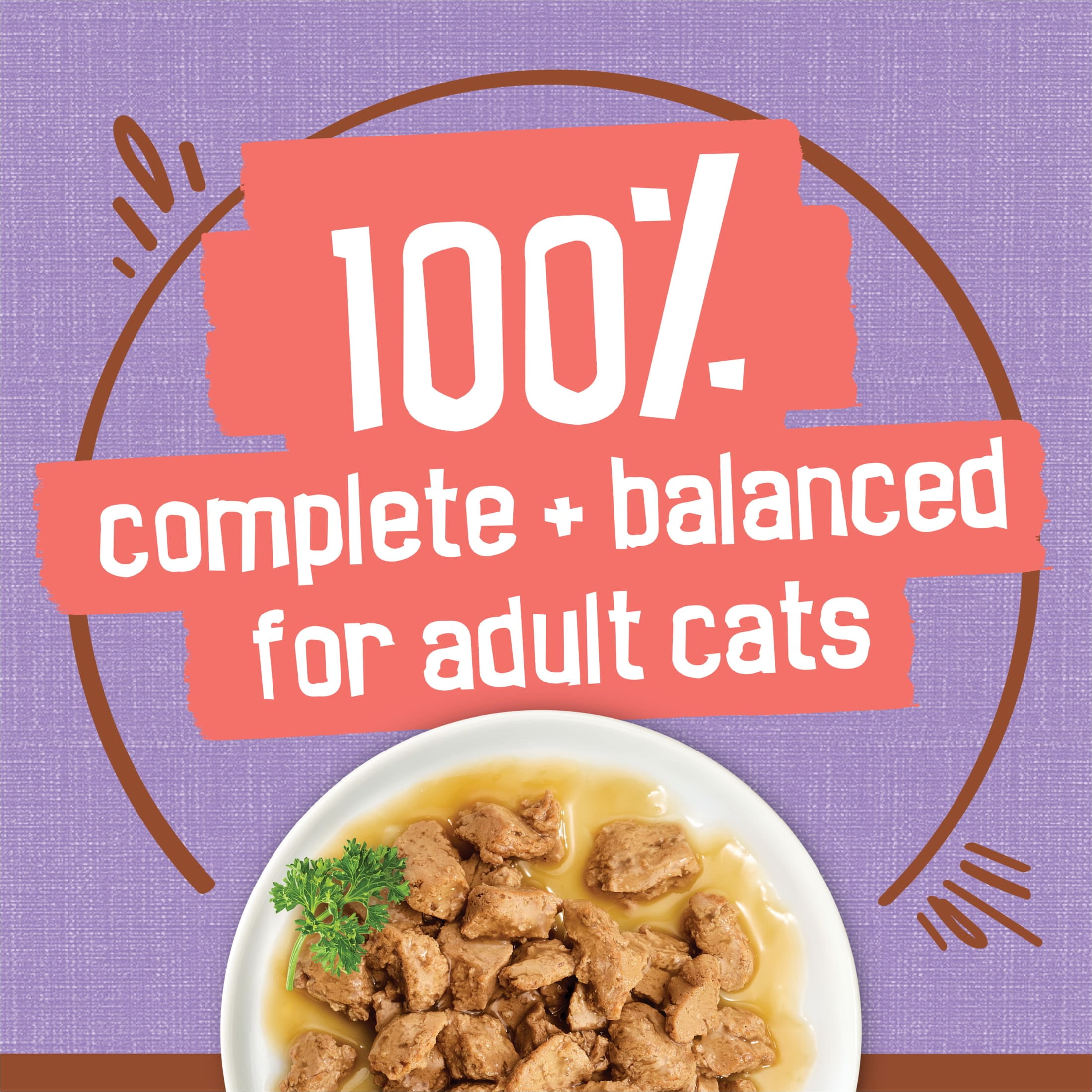 (2 pack) Purina Friskies Extra Chunky Gravy, Soft Turkey, Wet Cat Food, 5.5 oz Cans
