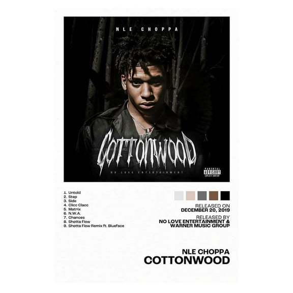 Nle Choppa Cottonwood Album Cover Music Poster Rap Home Decor For Living Room Hip-Hop Aesthetic Rapper Album Wall Art Records Poster Wall Decor For Bedroom