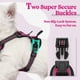 thumbnail image 3 of Arnés para perros Rabbitgoo, ajustable, sin tirones, rosa intenso, XS, 3 of 7