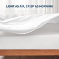 thumbnail image 6 of HOMTEC 100% Cotton Flat Sheet 2-Pack, Crisp Soft Percale Cotton Top Sheet for Massage Table, Hospital, Dorm (Twin / Twin XL, White), 6 of 9