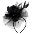 thumbnail image 1 of unbranded 1Ud Prendedor Para En De Con Tul Y Plumas Negras Para, 1 of 8
