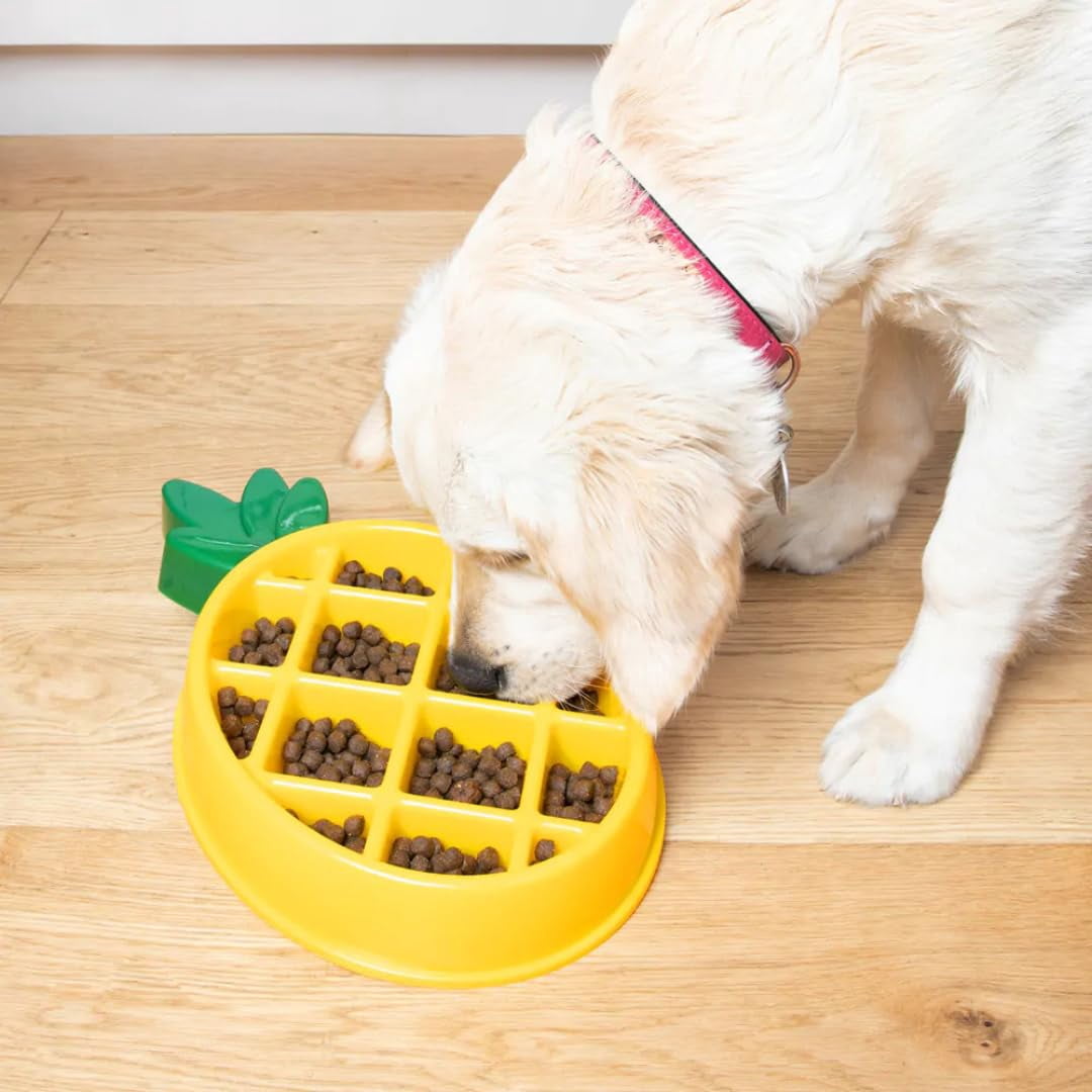 Happy Bowl Pineapple Slow Feeder