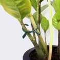 thumbnail image 2 of 100-Pack Garden Plant Clips for Securing Plants to Supports, 2 of 5
