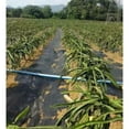 thumbnail image 3 of Que Cultiva Un Negra Durable De La Que Cultiva Un De La Tela Del Paisaje De La Barrera De La Mala Hierba Del 15x3 metros Macarena Tela de barrera de malezas de paisaje, 3 of 8