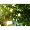 thumbnail image 5 of 3' Pre-Lit Canadian Pine Artificial Christmas Tree - Multi Lights, 5 of 11