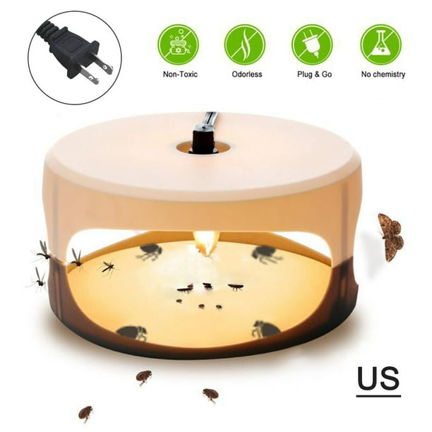 Irfora Trampa para pulgas pegajosa con cúpula, trampa para insectos con 2 discos de pegamento, almohadilla para trampa para pulgas, inodoro y no tóxico, luz para trampa de pulgas, apta para niños y ma Irfora Trampa de pulgas