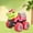 Yellow-YE-deals, variant on ABPWLY Kids Toys Dinosaur Engineering Car Indoor Family Children Entertainment Interactive Toys Dinosaur Truck Vehicles for Toddlers Preschoolers Birthday Gifts