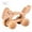 B, variant on Lets Make Wooden Car Toys Wood Rattle Toy Cars Handmade Wood Eco Toy Car