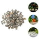 thumbnail image 5 of 100 piezas de decoraciones de concha de caracol, conchas marinas, decoraciones para peceras, reemplazos de concha de cangrejo ermitaño, concha de bricolaje, 5 of 6