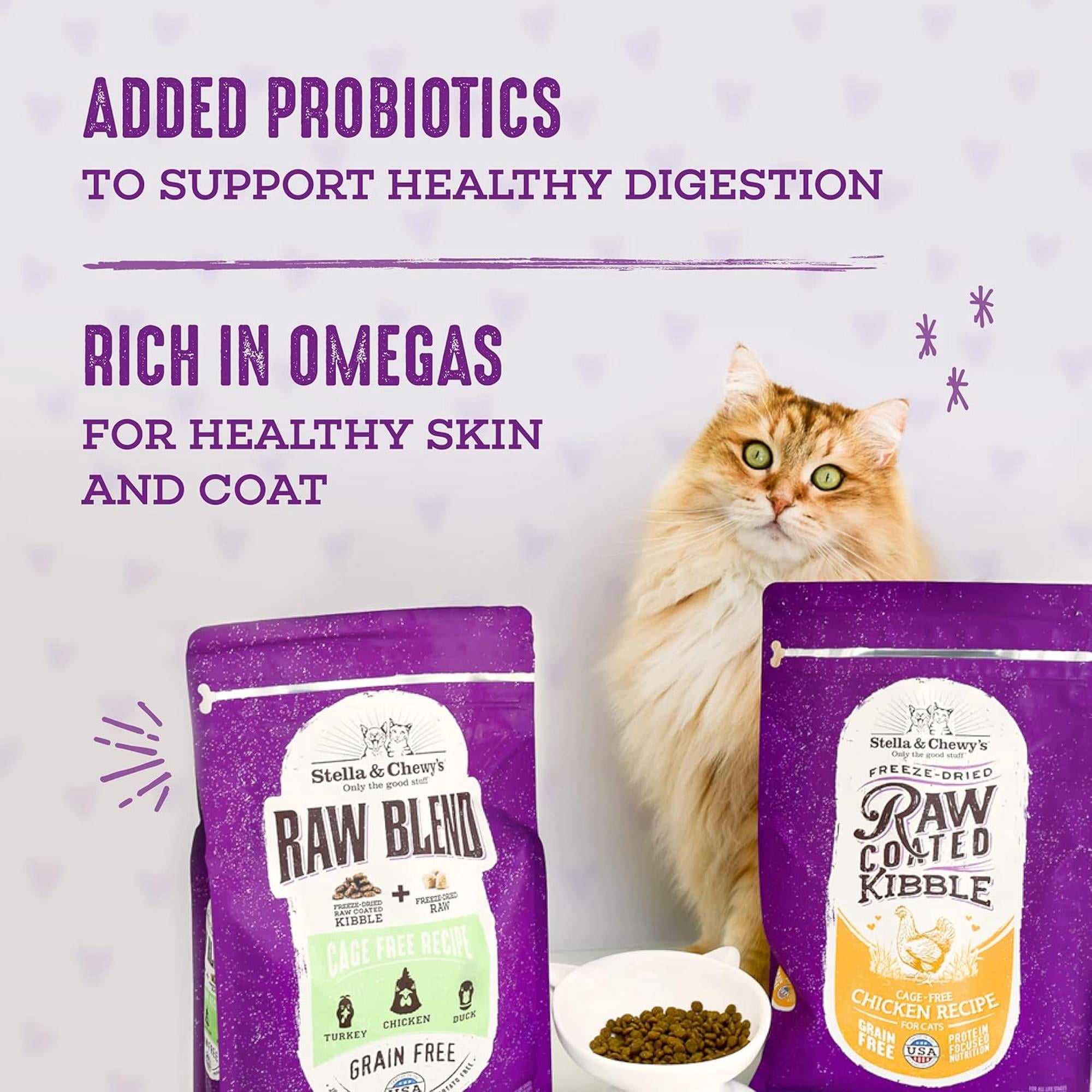 Stella & Chewy's Baked Kibble for Cats - Raw Blend Cage-Free Recipe - 10 Pound Bag