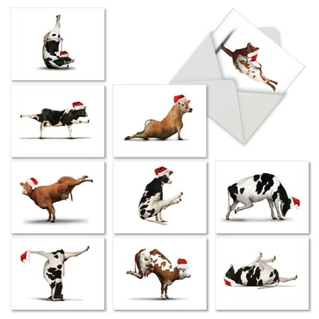M6545XSG HOLIDAY BOVINE NIRVANA' 10 Assorted Merry Christmas Note Cards with Envelopes by The Best Card