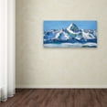 thumbnail image 3 of Trademark Fine Art 'No Limits' Canvas Art by Kellie Day, 3 of 3